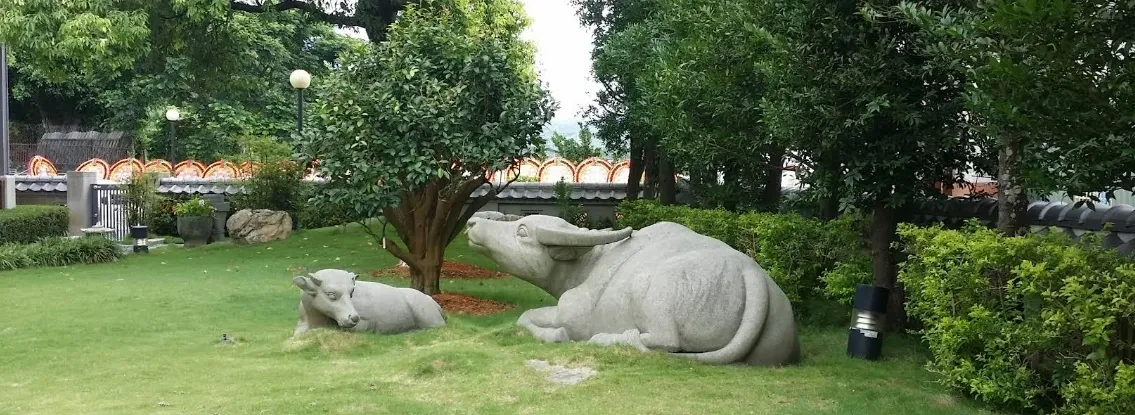 兒時的舊桌椅特寫